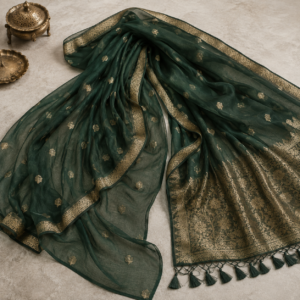 Banarasi Chiffon Sarees